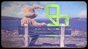 rooster teeth water GIF by Achievement Hunter