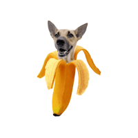 Banana Dog Sticker