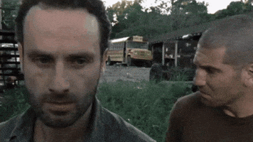 The Walking Dead Twd GIF
