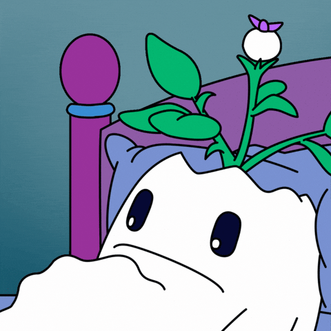 Hungry Feed Me GIF by Magic Eden