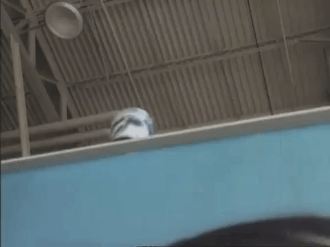 the mystery files of shelby woo nicksplat GIF
