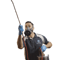 SydneyPestCrew exterminate sydneypestcrew Sticker