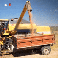 Trailer Rice GIF by TRT