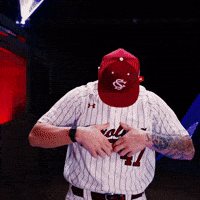 Home Run Celebration GIF by Gamecock Athletics