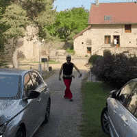 Asterix GIF by philoyolo