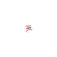Southeastern University Baseball Sticker by SEUmarketing