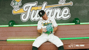 College Baseball Seth GIF by GreenWave
