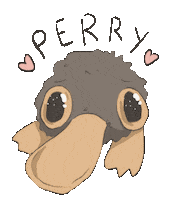 In Love Perry Sticker