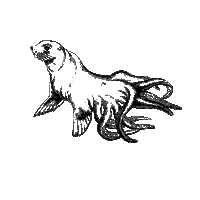 phoqueoff music festival 2021 seal Sticker