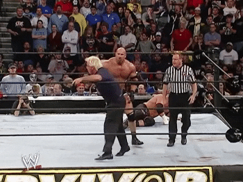 Ric Flair Goldberg GIF by WWE