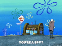 season 5 GIF by SpongeBob SquarePants