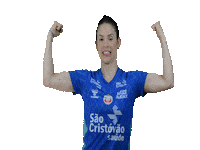 osascovoleibol volleyball volei osasco osascovoleibolclube Sticker