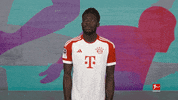 Bayern Munich Football GIF by Bundesliga