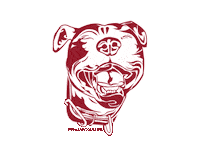 Happy Pit Bull Sticker by Pit Bull Advocates of America