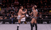 Cm Punk Wrestling GIF by AEWonTV