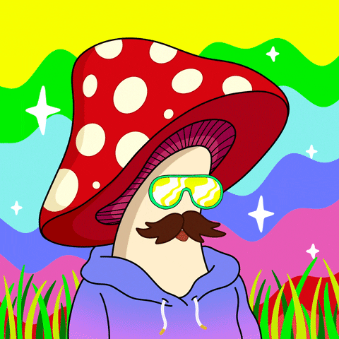 Funguyz giphyupload loop giphystrobetesting rainbow GIF