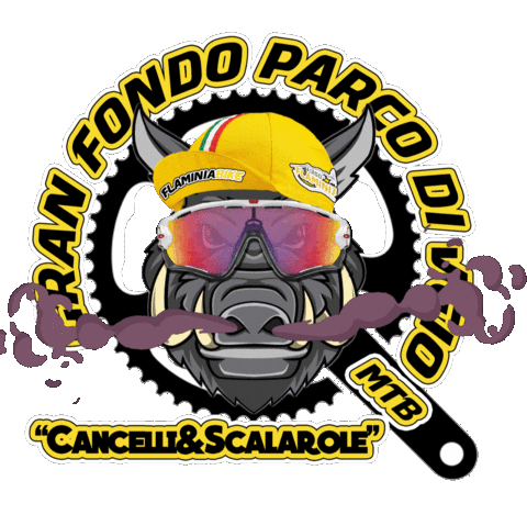 Parcodiveio Sticker by AsdFlaminiaBike