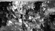 GIF by Canek