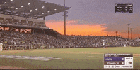 college baseball sport GIF by NCAA Championships