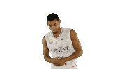 Basketball Basket Sticker by Lions de Genève