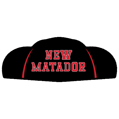 Calstatenorthridge Sticker by Discover CSUN