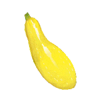 Sticker by Fresh From Florida