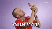So Cute