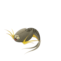 triopsking sea monkeys triops tadpole shrimps urzeitkrebse Sticker