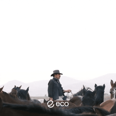 To The Moon Crypto GIF by Eco