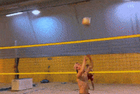 Volley GIF