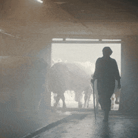 Pinzgau Salzburg GIF by BILLA