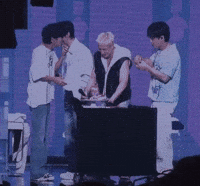 Stray Kids Skz GIF