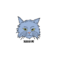 Cardi B Cat Sticker by Bedsider