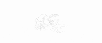 Couple Love GIF