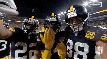 Pittsburgh Steelers Football GIF by NFL