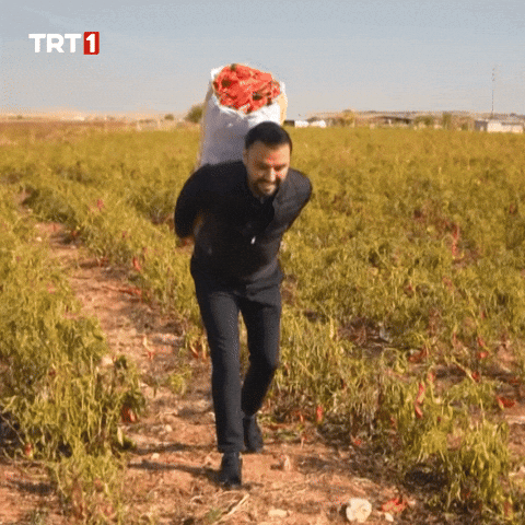 Come On The Way GIF by TRT