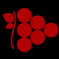 GIF by Somm Grapes