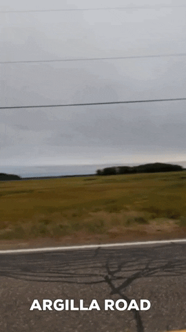 gwhite11 giphygifmaker biking ipswich argilla road GIF