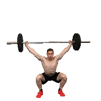 Sport Power Sticker by feelfinance