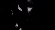 Horse Power GIF by The Chemical Brothers