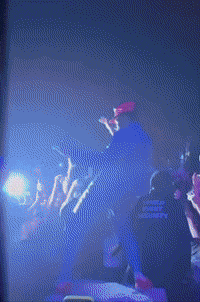 Tyler The Creator Lol GIF by Dobbi Apparel