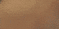 Dream Big Timothee Chalamet GIF by A24