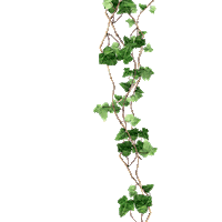 Plant Sticker