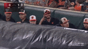 Baltimore Orioles Sport GIF by MLB