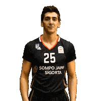 Basketball Ball Sticker by Beşiktaş