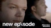 shameless GIF by Showtime