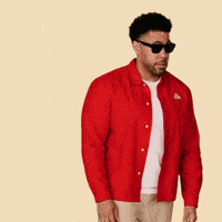 Sunglasses Are You Serious GIF by State Farm