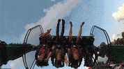insomniacevents carnival edc rides insomniac events GIF