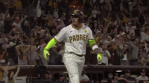 Celebrate Home Run GIF by MLB