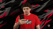 Brawl Stars What GIF by Tribe Gaming
